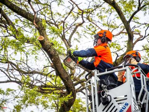 Einsatzdokumentation Feuerwehr Soest